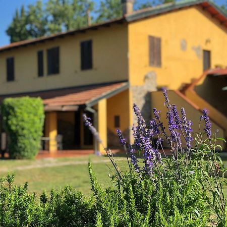 Agriturismo Santa Lorica サッセッタ エクステリア 写真