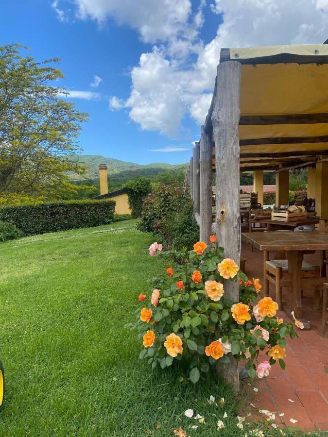 Agriturismo Santa Lorica サッセッタ エクステリア 写真