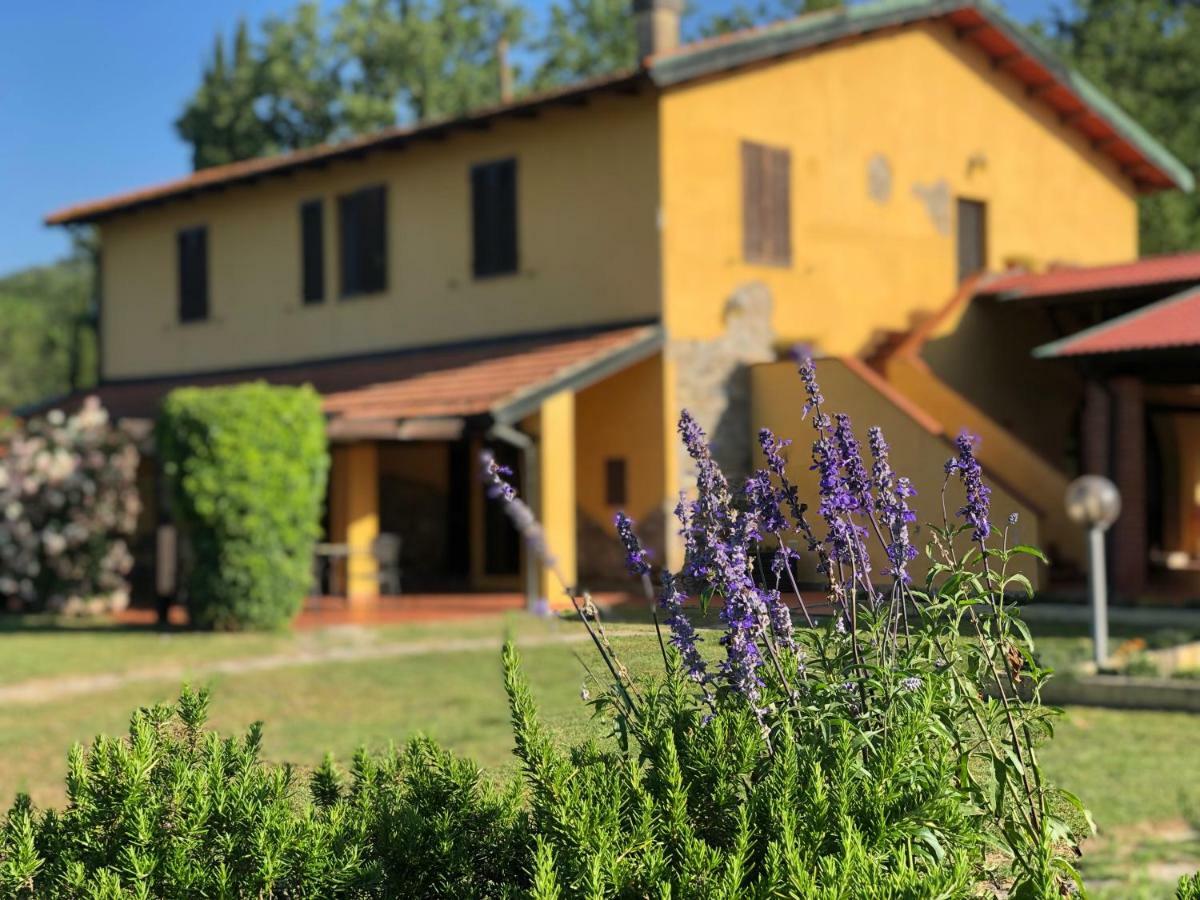 Agriturismo Santa Lorica サッセッタ エクステリア 写真