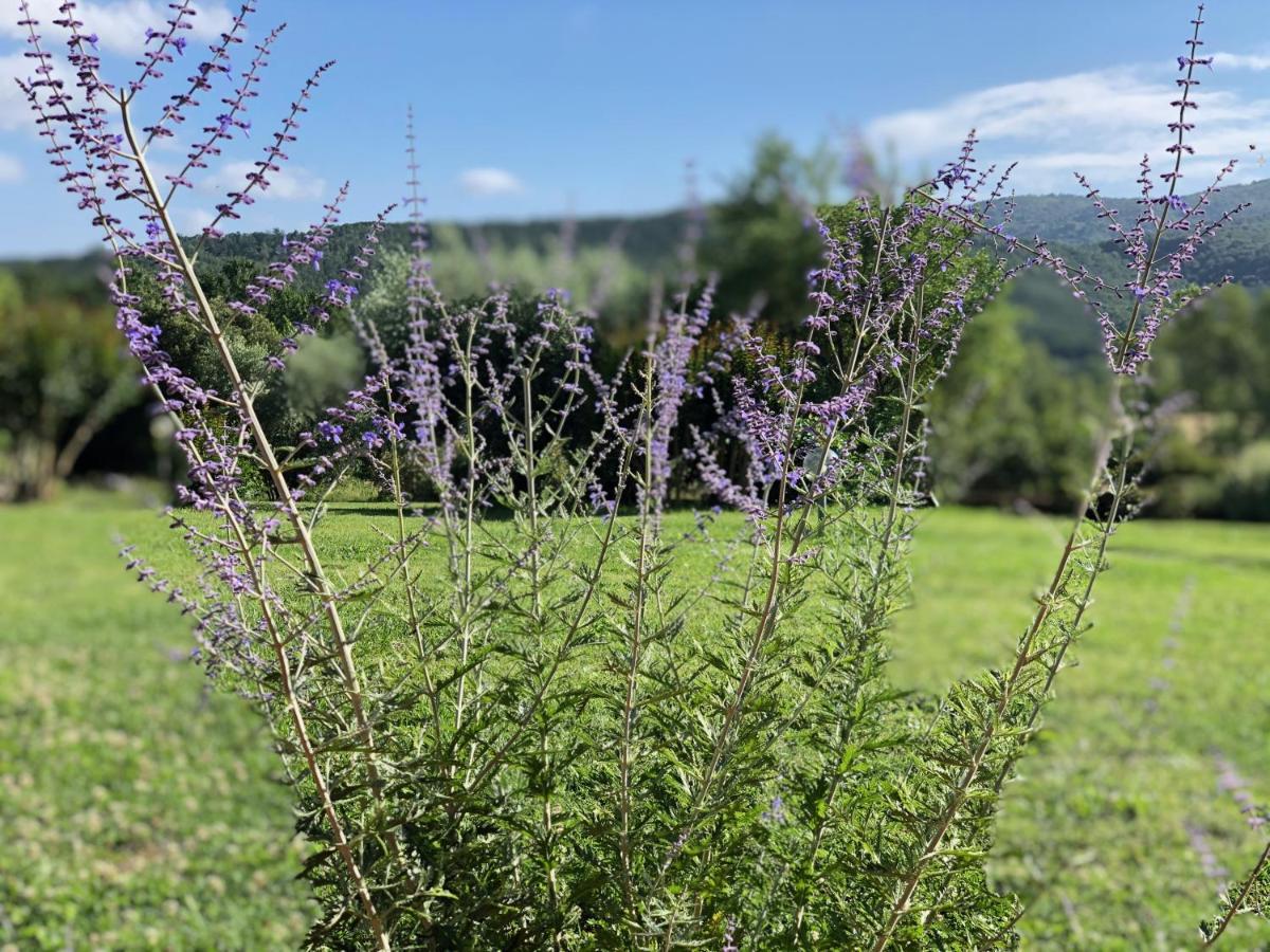 Agriturismo Santa Lorica サッセッタ エクステリア 写真
